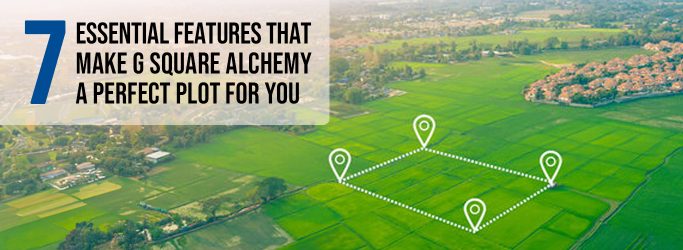 7 Essential Features that Make G Square Alchemy a Perfect Plot for You.